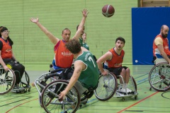 AH_9022dev_PF_JUBI_low_20250518