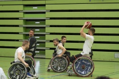 AH_9032dev_PF_JUBI_low_20250518