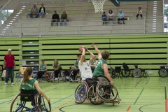 AH_9309dev_PF_JUBI_low_20250518