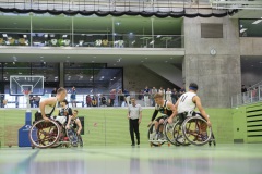 AH_9553dev_PF_JUBI_low_20250518